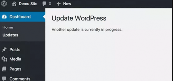 WordPress Another update currently in process error