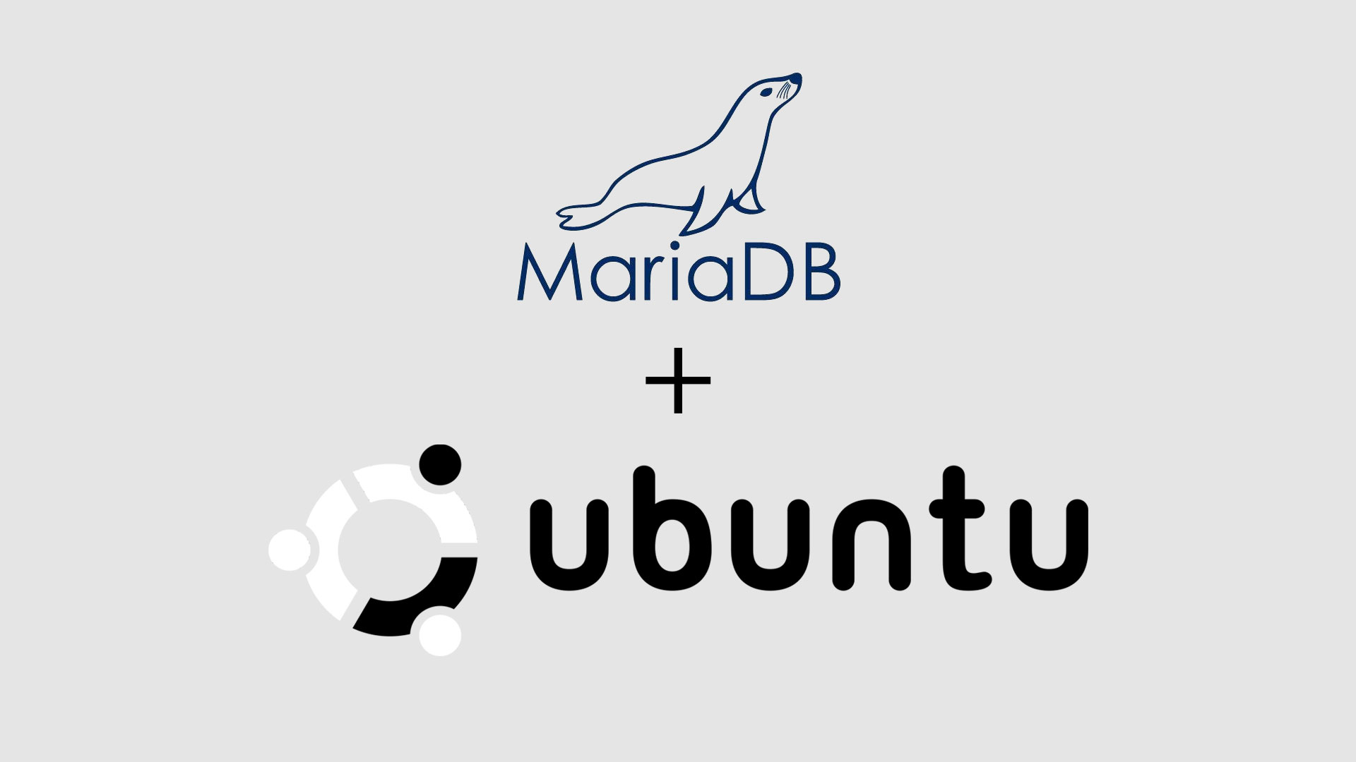 How To Install MariaDB on Ubuntu Focal Fossa