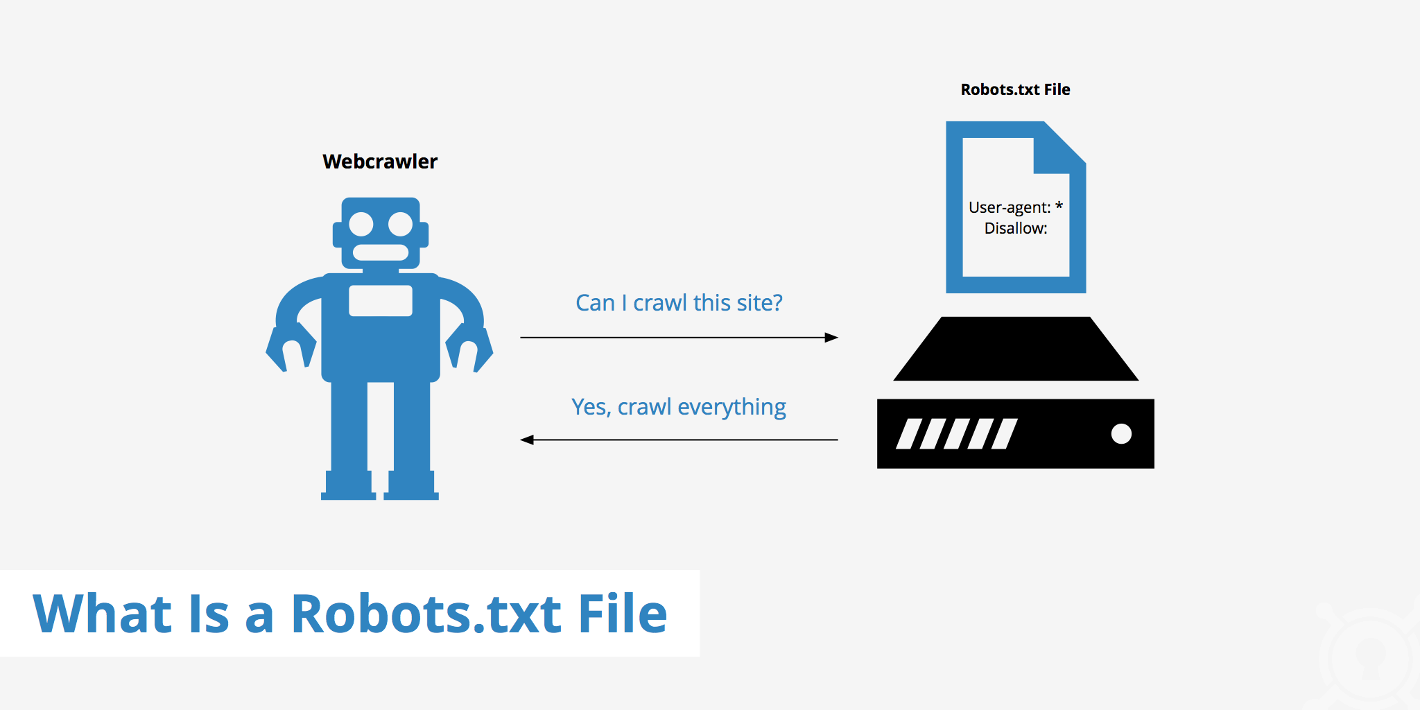 About robots txt allow and disallow
