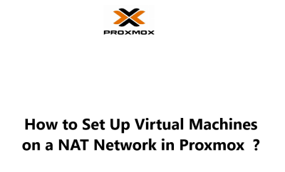 Set Up and use and DNS for Virtual Machines on a NAT Network in Proxmox  - How to do it ?