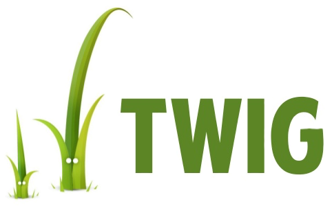 Install twig on Linux Server